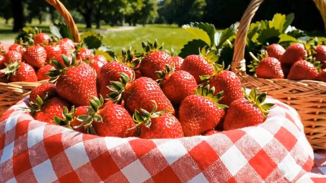 Amazon.com : 200+ Wild Strawberry Seeds – Fragaria Vesca – Edible